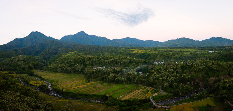 An unedited landscape photograph ready to be selected in Lightroom