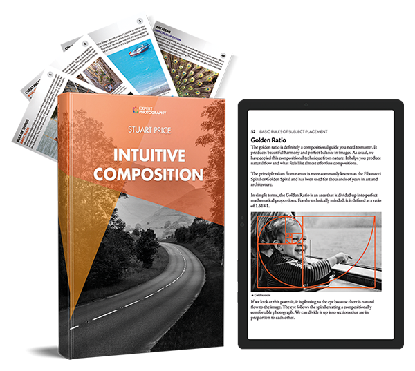Intuitive Composition ebook and 50 cheat sheets