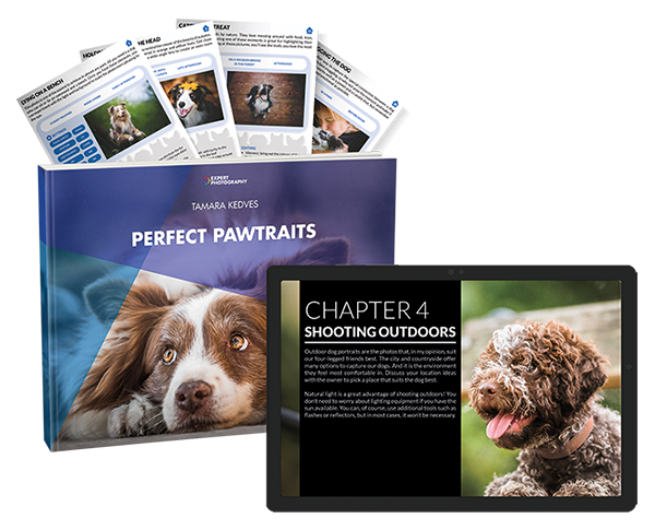 Perfect Pawtraits eBook and dog photography bonus package