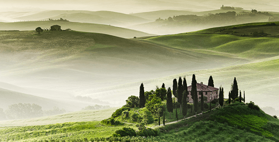 Luscious Green Hills (After)