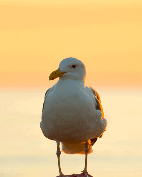 Chris Hoover - Photography Unlocked student