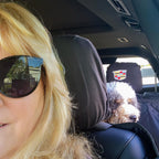 Cindy Steyn