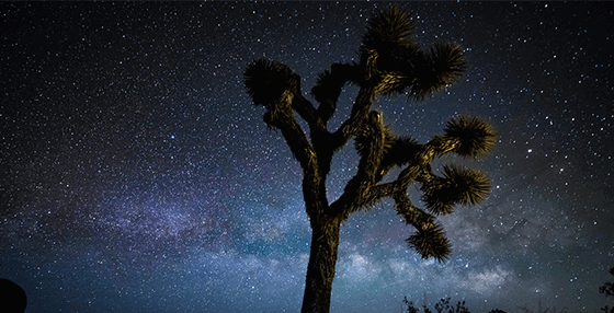 Finished Milky Way photograph from the Post Processing module