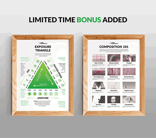 The Photo Basics Posters bonus