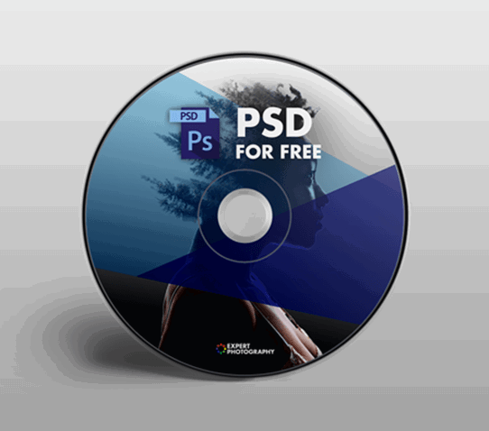 Bonus 2 - PSD for Free