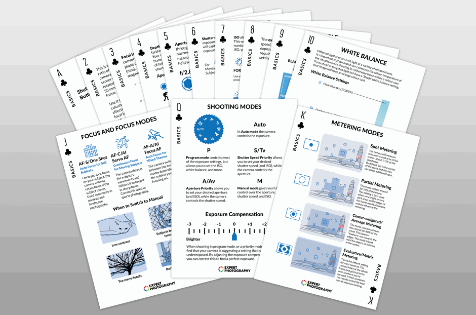 The Basics suit of Quick Capture Cheat Sheets