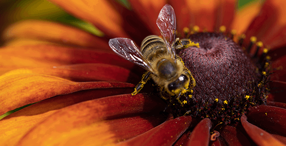 Macro Magic Module 2 — Settings
