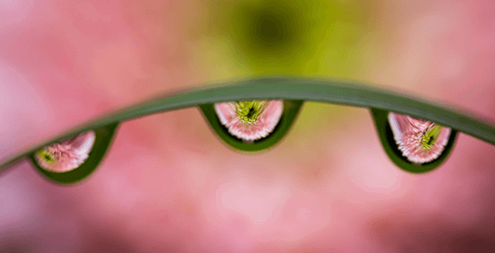 Macro Magic Module 4 — Lighting