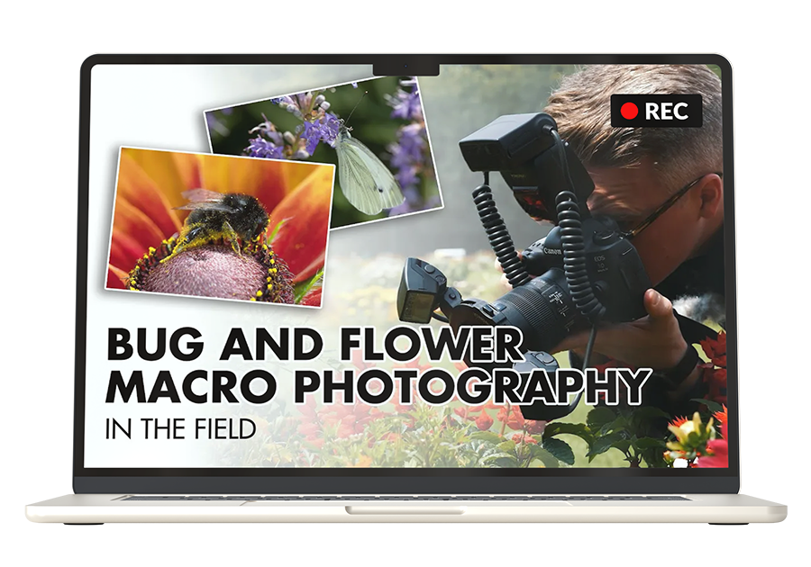 p16a new lg image 30sep2024 900