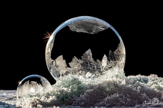Stefan Nordin student macro