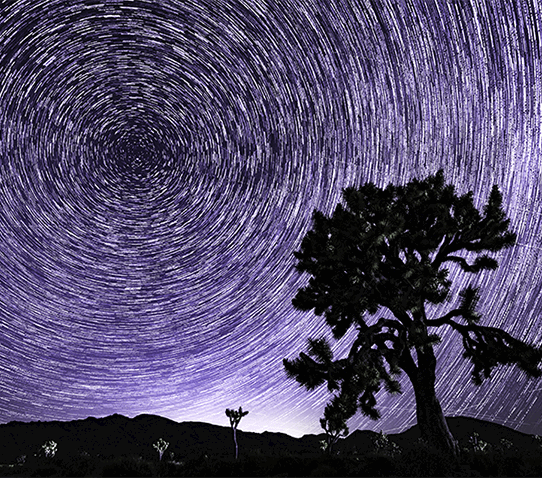 Bonus #1 Star Trail Photography