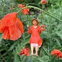 Darlene Perkin