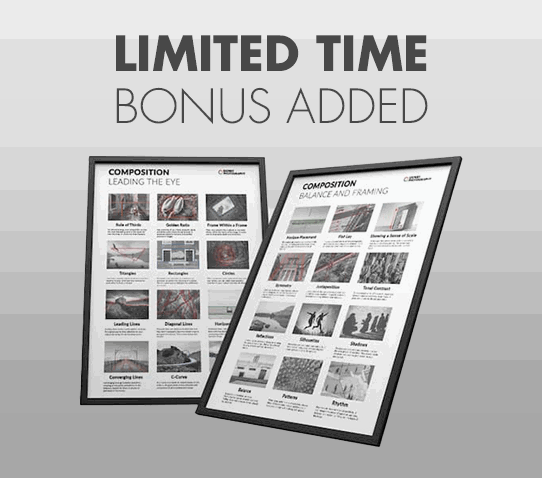 Composition Posters bonus