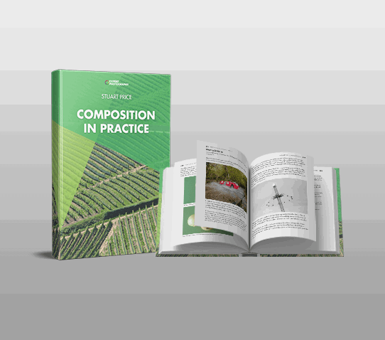 Composition in Practice bonus chapter
