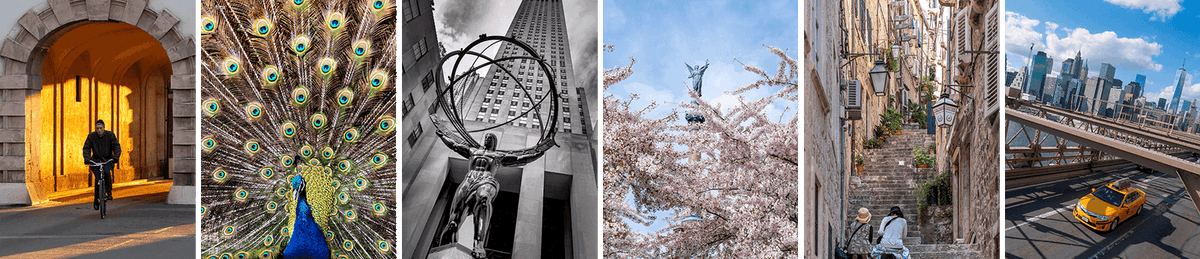 Six composition photographs by Stuart Price