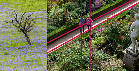 Balance composition examples