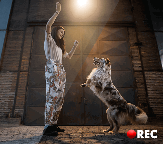 7 Lightroom Editing Walkthroughs bonus
