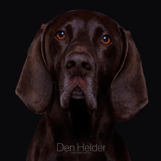 Photo-wall — Pele Johnson (Perfect Pawtraits result)
