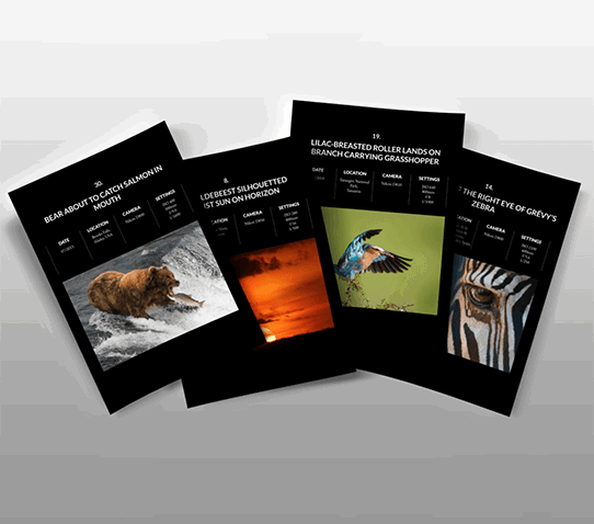 Bonus 1: 30 Global Wildlife Case Studies