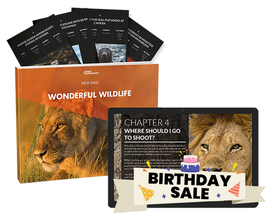 Wonderful Wildlife
