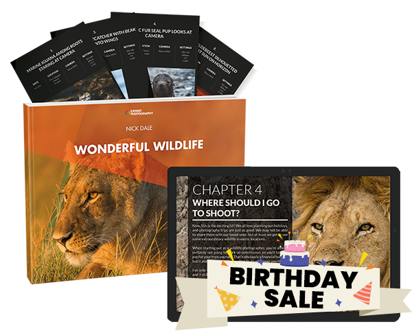Wonderful Wildlife