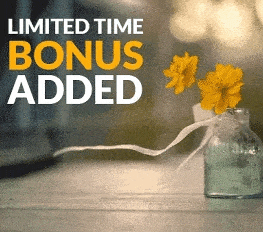 p31 bonus cinemagraphs