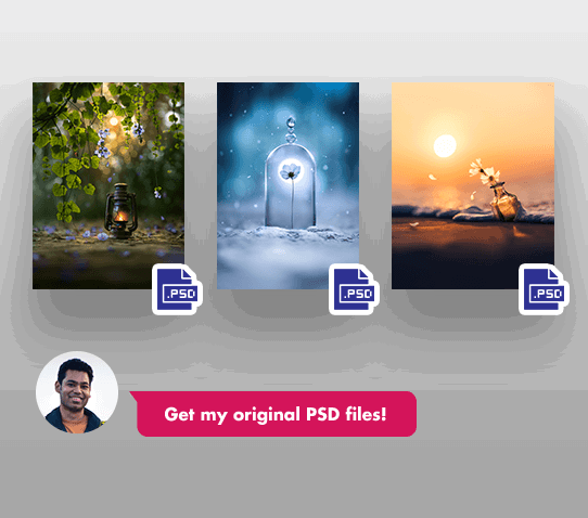 p31 bonus PSD files