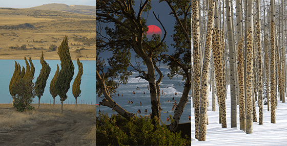 p35 module 5 natural dreamscapes