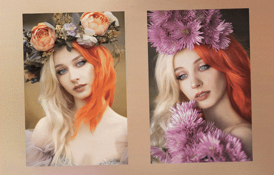 P36 Day 2 Flower Crowns timelapse GIF (re-encoded)