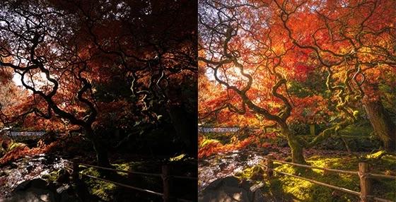 Project 7 Fall Fairytales