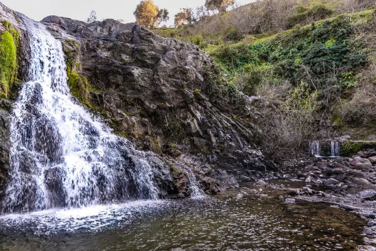 I took this picture before using the techniques I’m about to share with you. As you can see, it’s a decent picture, but it won’t win any awards.