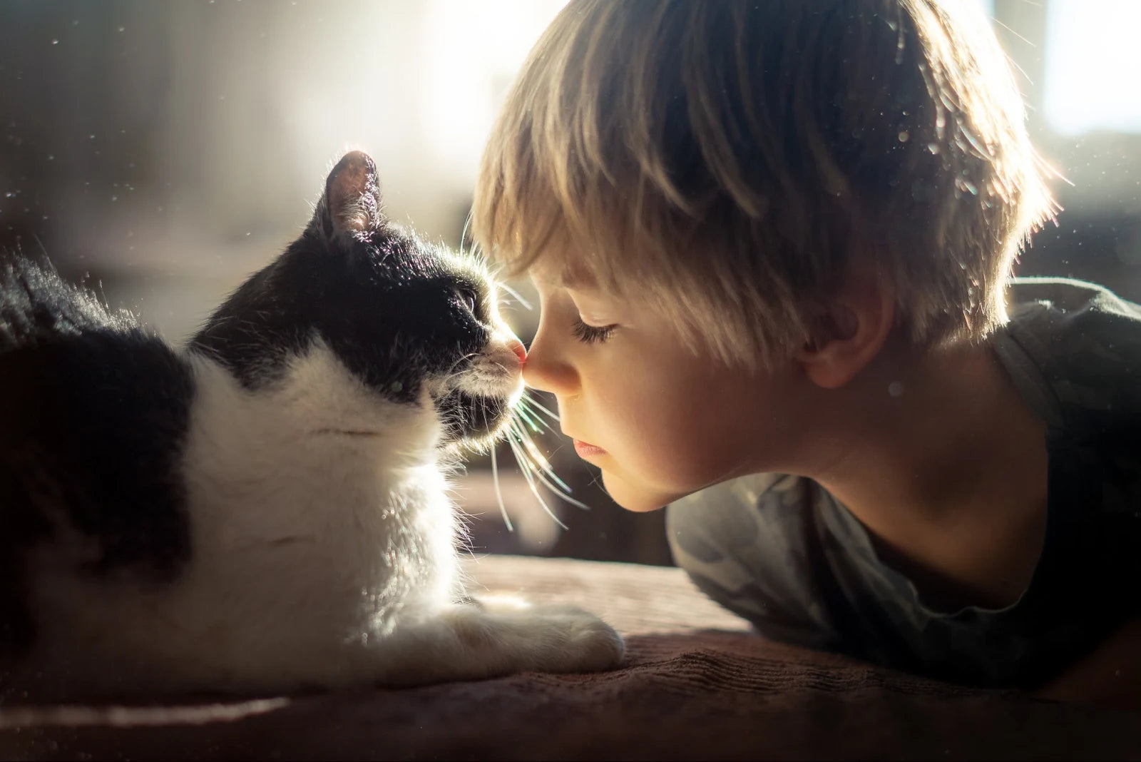 A child and cat touching noses in warm window light, photographed by Iwona Podlasińska