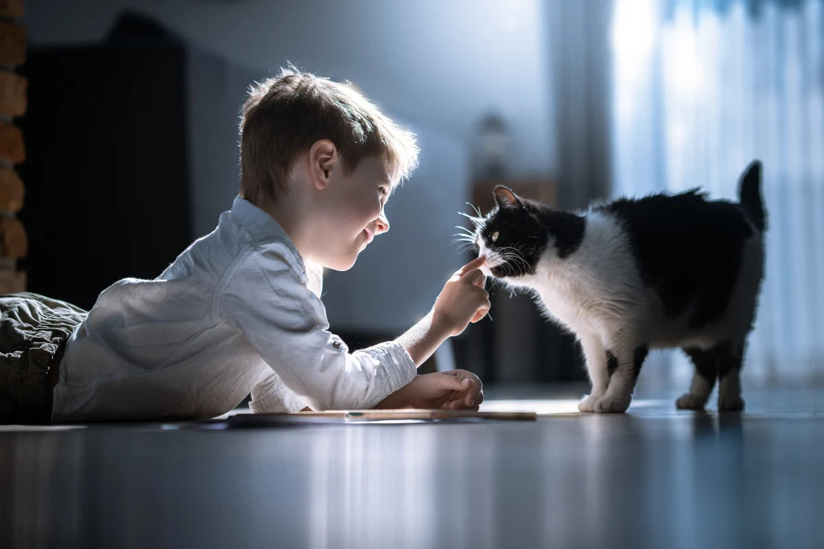 A child and cat posed indoors beside soft window light