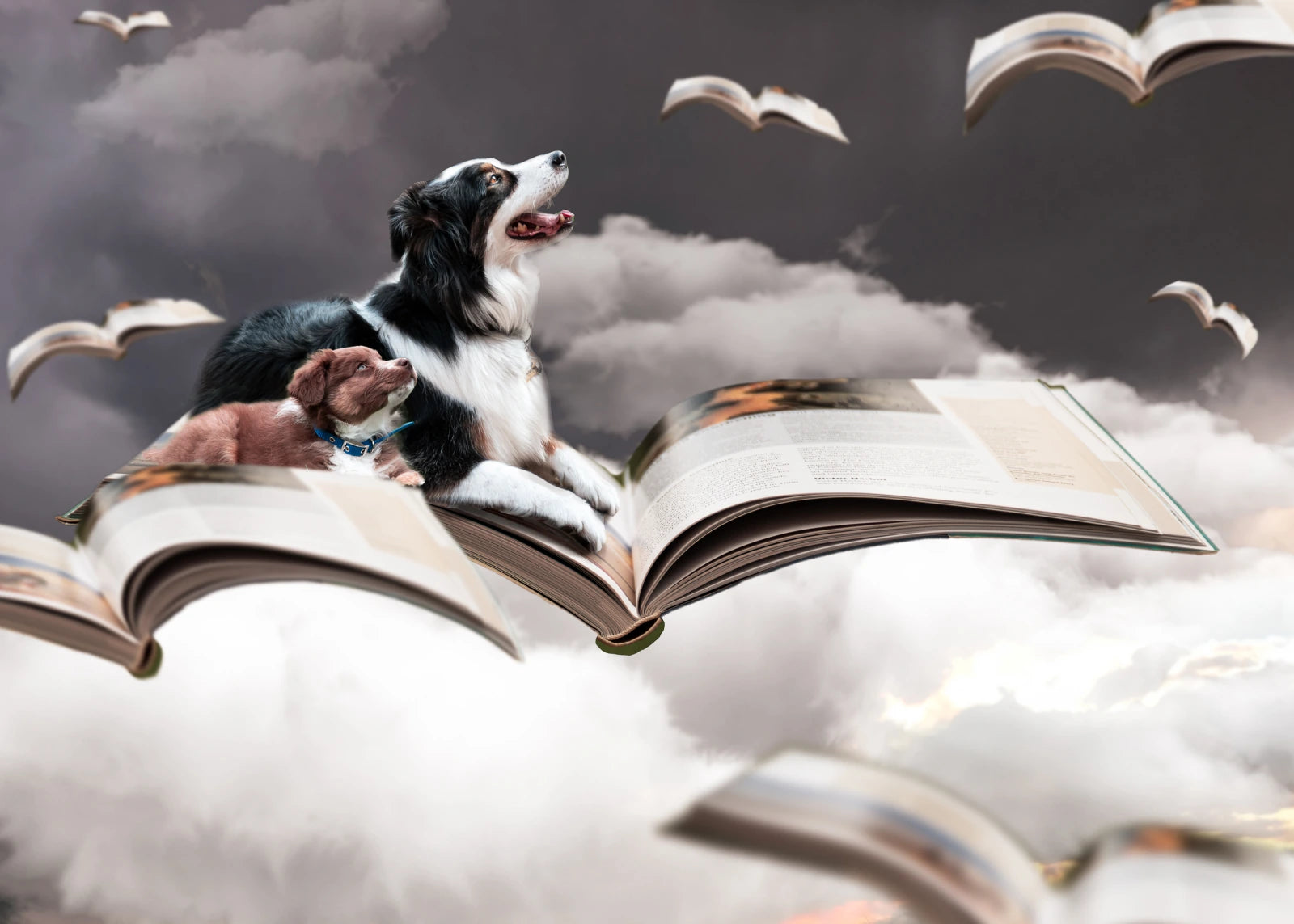Two dogs riding flying books through the clouds, created by Fantastic Photo Adventures student Melanie Kelly
